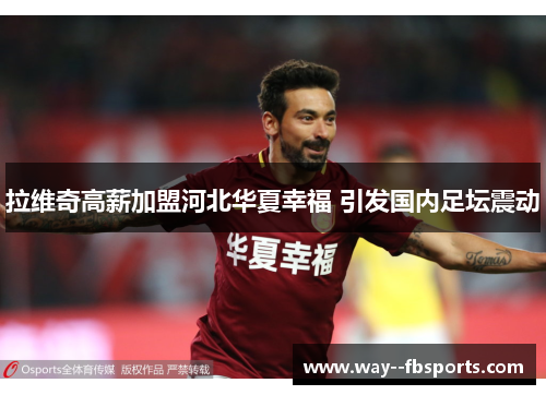 拉维奇高薪加盟河北华夏幸福 引发国内足坛震动 拉维奇高薪加盟河北华夏幸福 引发国内足坛震动